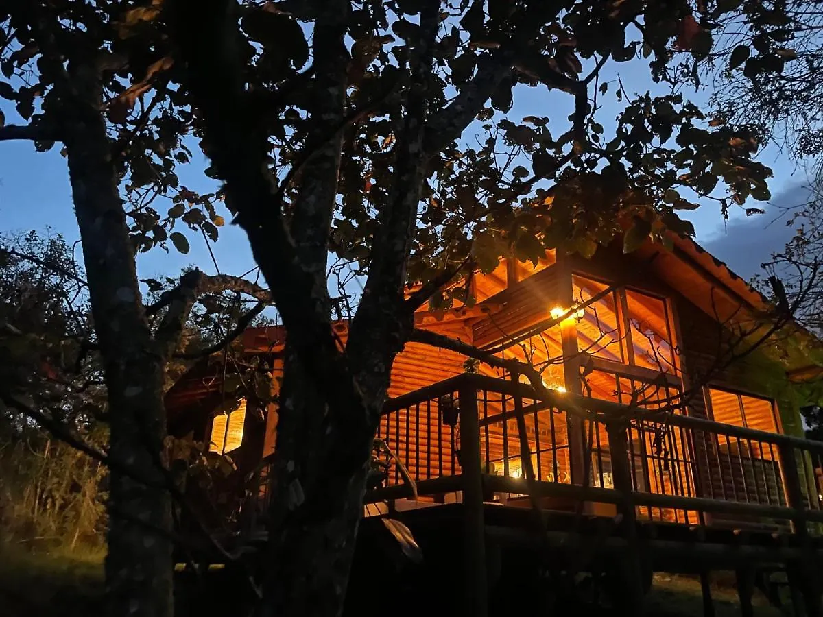 Bruma Blanca Chalets ميديلين