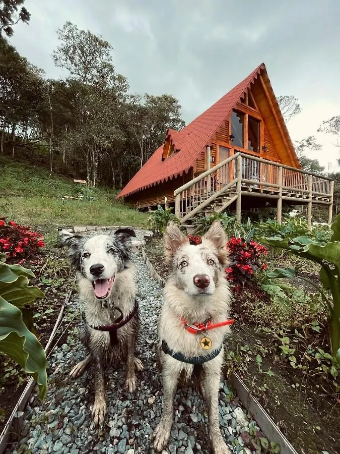 Bruma Blanca Chalets Medellín