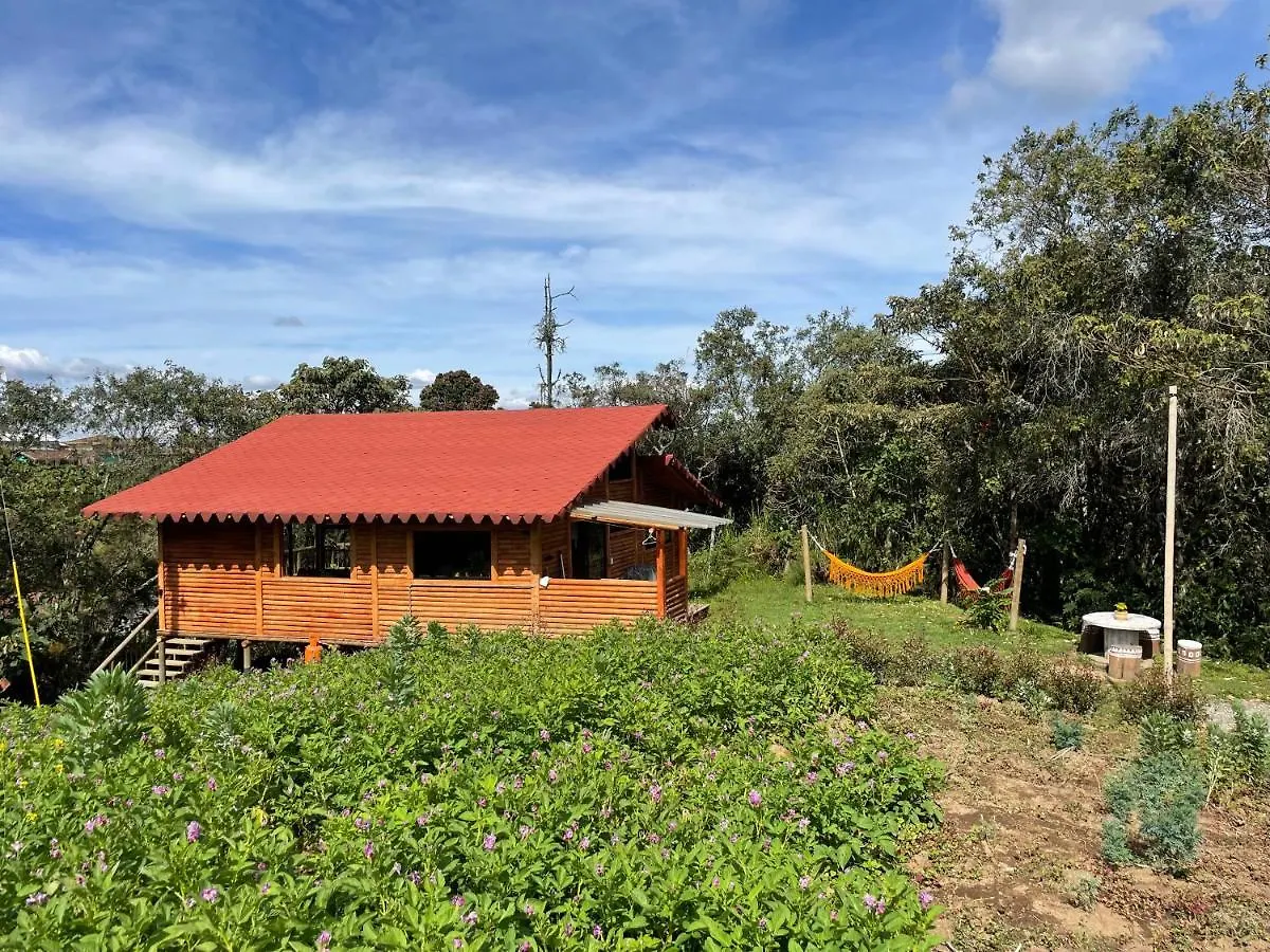 Bruma Blanca Chalets Medellín